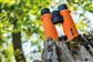 Roof Prism Binoculars SIGNAL XP 8x42 orange